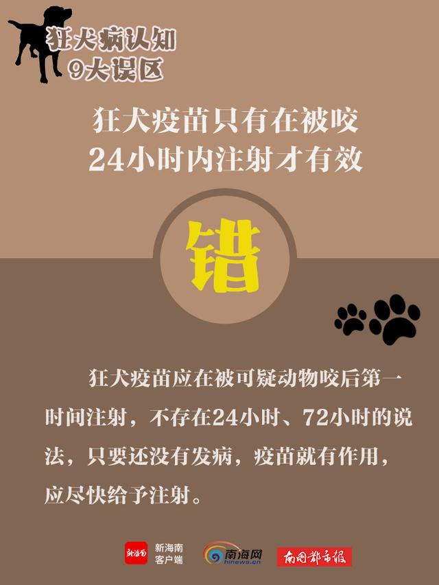 世界狂犬病日，带你了解狂犬病9大认知误区