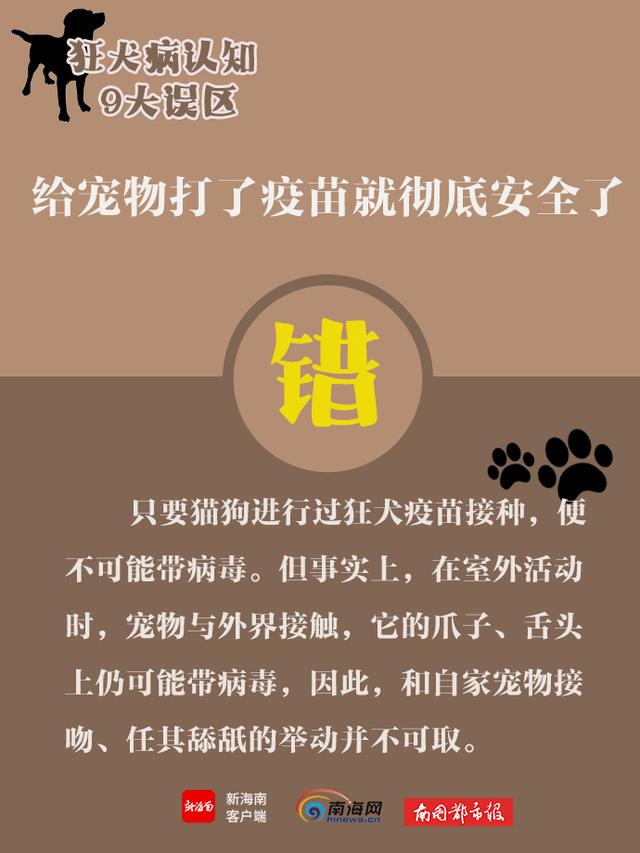 世界狂犬病日，带你了解狂犬病9大认知误区