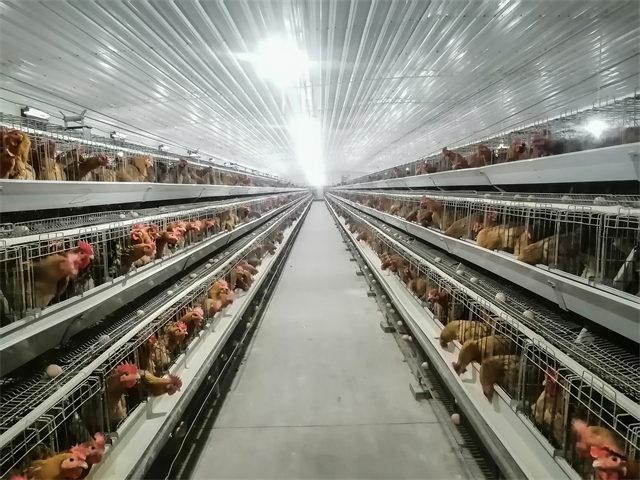 常州展本装饰工程