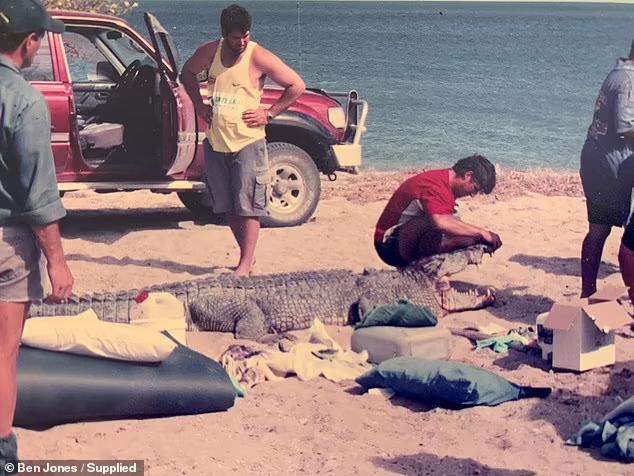 澳大利亚最恐怖巨鳄袭人视频首次曝光：老母奋不顾身鳄口救子