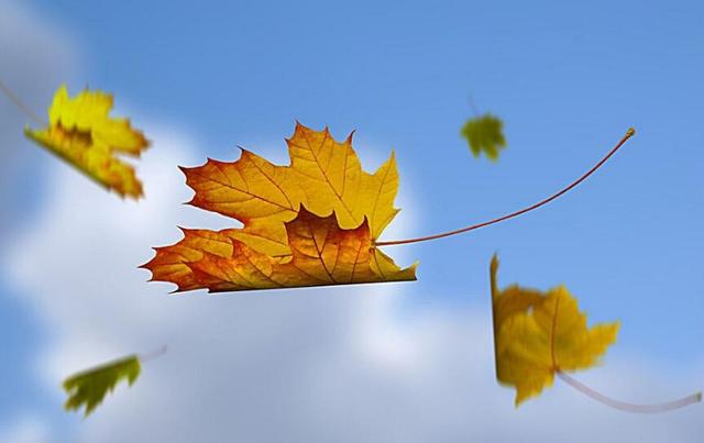 防范“秋老虎”，护好心和脾