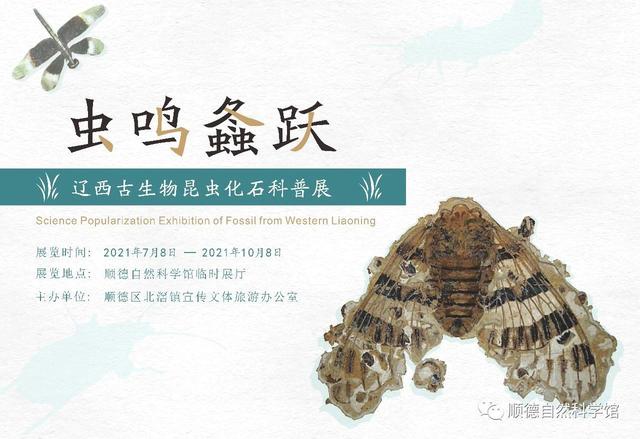 邵阳制砂机设备厂家