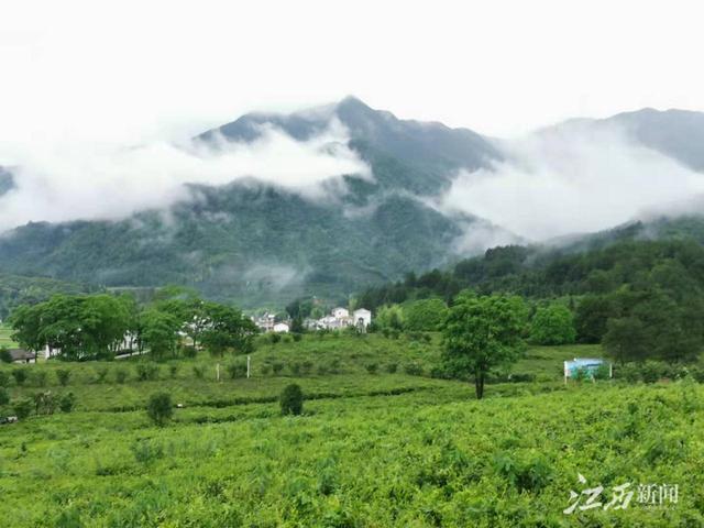 赣州河南移动青石制砂机