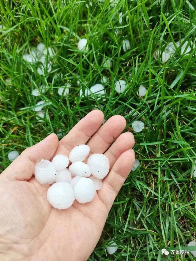 烟台突降冰雹 鸡蛋那么大 市民顶着筐抱棉被遮车 网友 苹果 新闻红