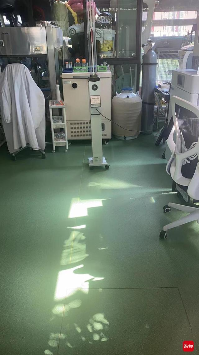 对话自制“药”救罕见病儿子的父亲：希望相关药物研发有突破