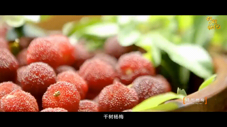 怀化洗砂机哪家好