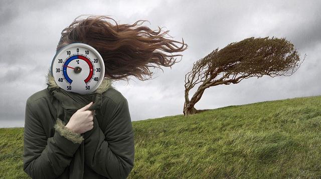 秋风起 寒露至 饮食宜“滋阴润肺、少辛增酸”