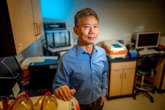 科学家正在研究可可是否可以更好地帮助人类抵御衰老