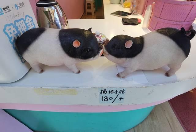 安顺鹅卵石破碎制砂机哪家好