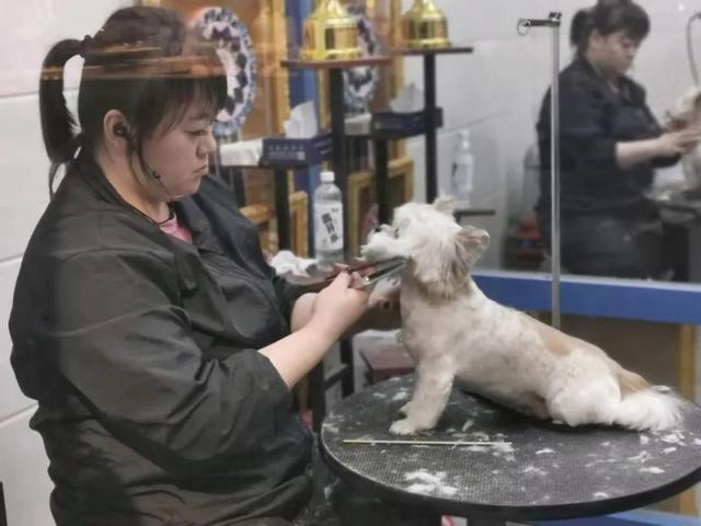 ӰƷչѡ