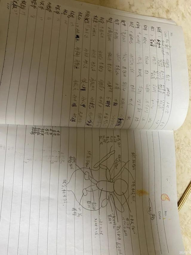 姑娘整理书架，发现弟弟小学时的秘密！网友：是个人才