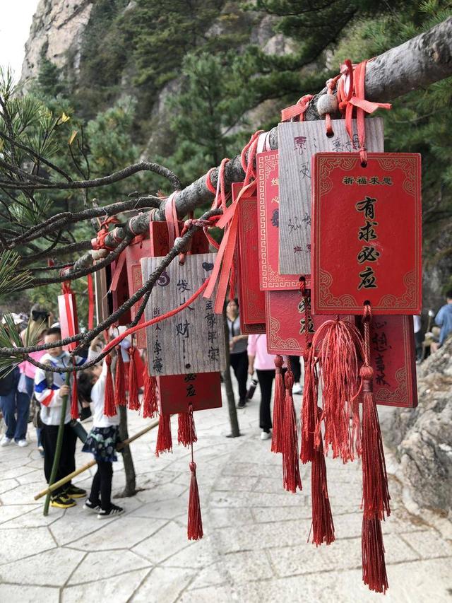 老君山风景区在哪里