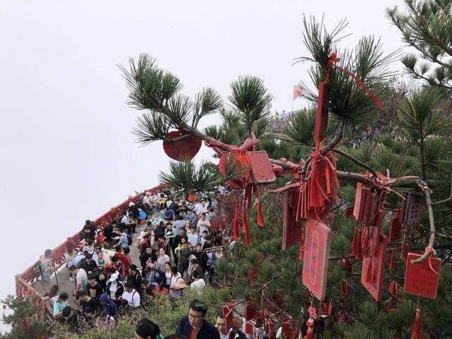 老君山风景区在哪里