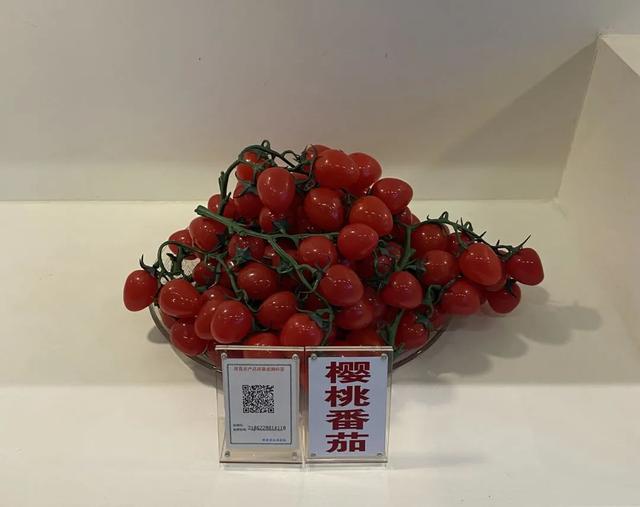 莘县，一张“蔬菜名片”的诞生