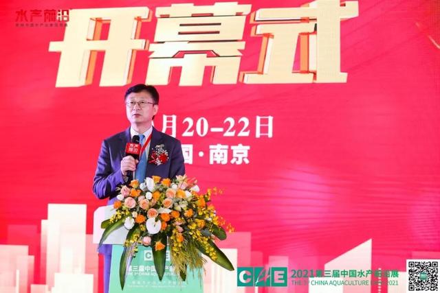 徐州二手树根破碎机转让