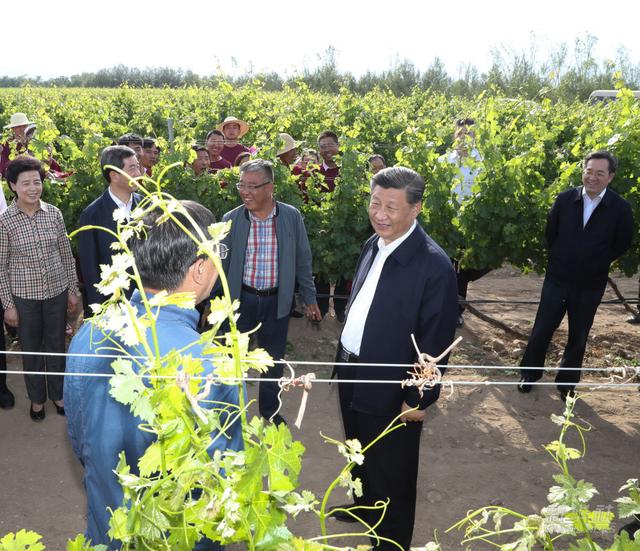 镜观·领航丨母亲河 幸福河——习近平谋划部署这一重大国家战略