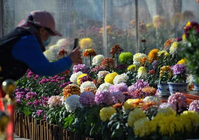 第二十二届北京国际照相机械展