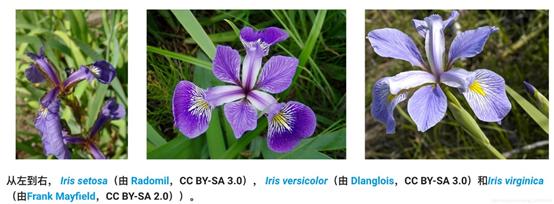 人工智能时代，神经网络的原理及使用方法 | 微课堂
