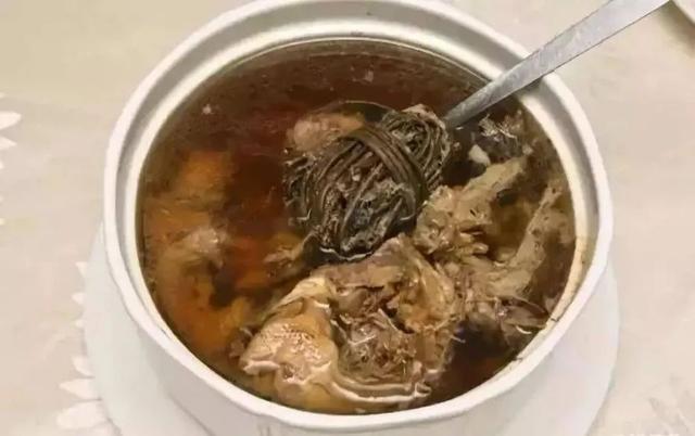 保胃健康｜药食同源鸡屎藤