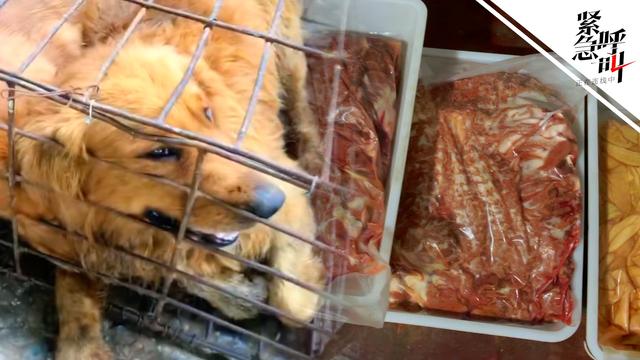 永安印刷包装机械展举办费用