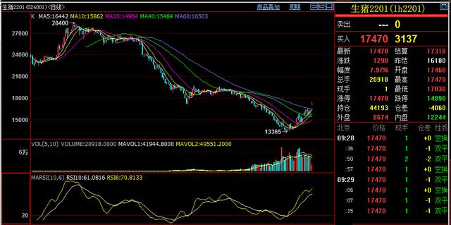 生猪期货涨停：忽如一夜春风来 做多理由全出来