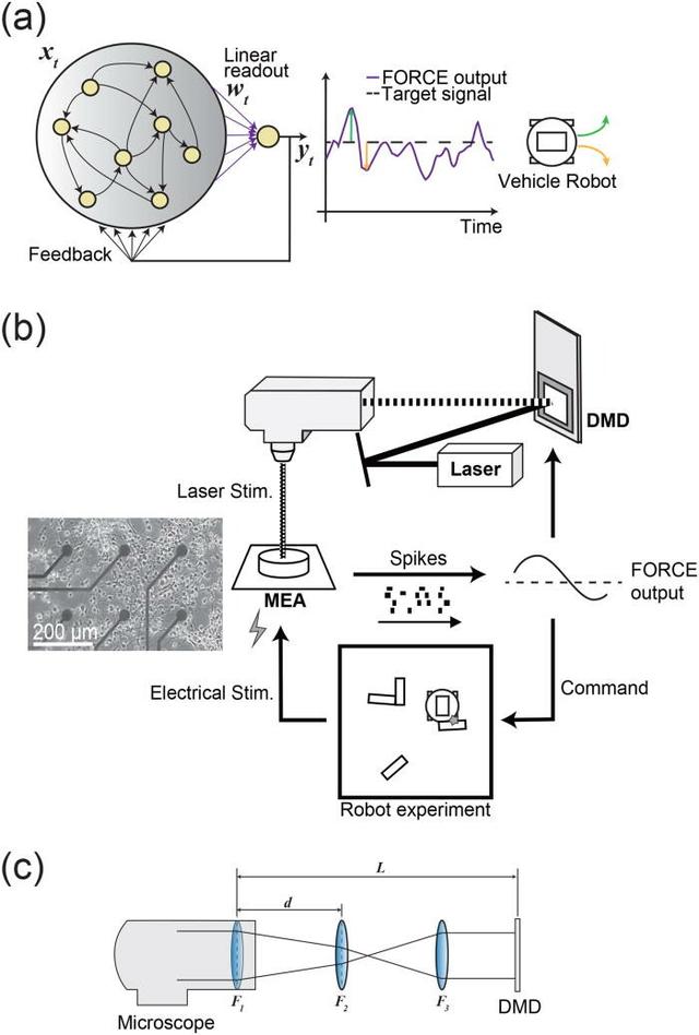 让机器像人一样思考，日本科学家开发可自主走迷宫的机器人