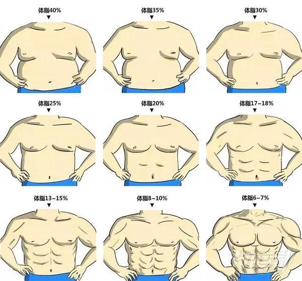 张晋腹肌胜过彭于晏 最实用的侧腹训练 3个动作人鱼线通通有 全网搜