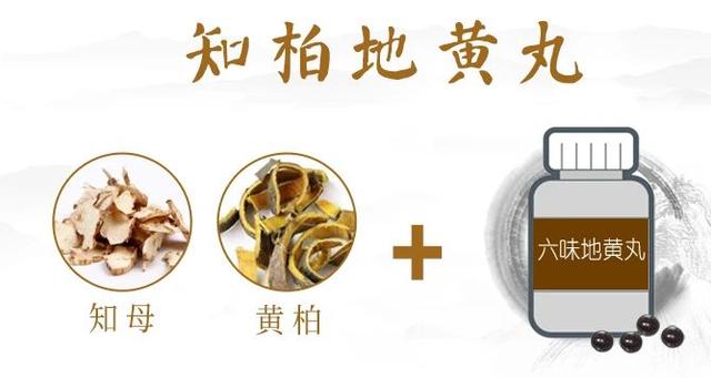地黄丸家族：知柏专攻阴虚火旺，麦味被称为老年人的长寿丸