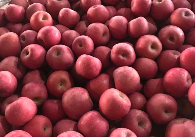 早熟苹果价格迎来“开门崩”，跌至6毛/斤，冷库苹果末日已至？