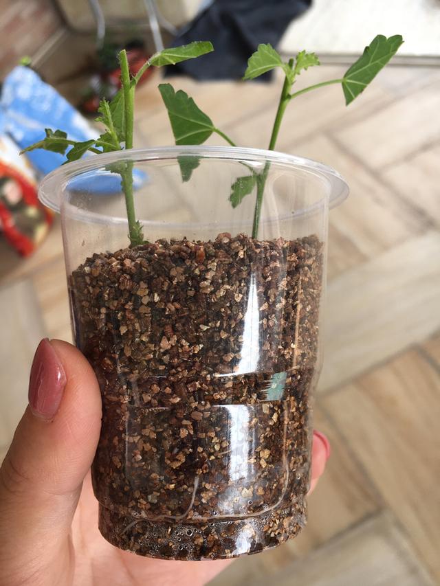 制砂机设备阳台养花