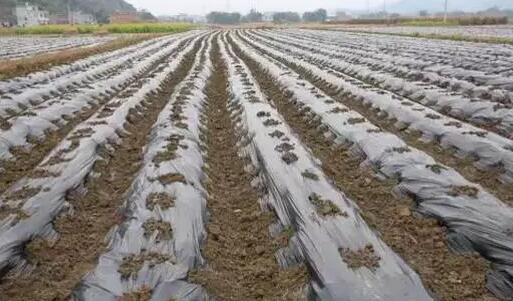 穷小子，从收破烂成河南首富，身家14亿骗贷13.6亿，现在怎样了？