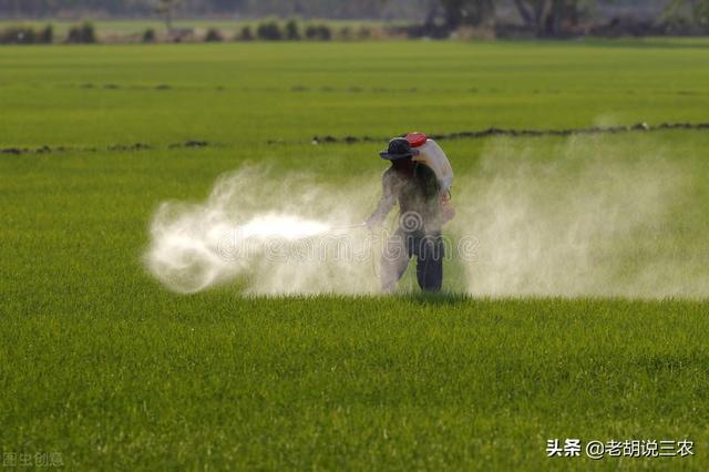 氯吡苯脲