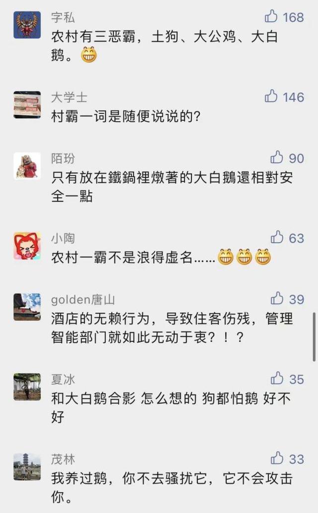 见一次咬一次！女主人拿走鹅蛋被公鹅记仇大半年，网友：农村一霸不是浪得虚名