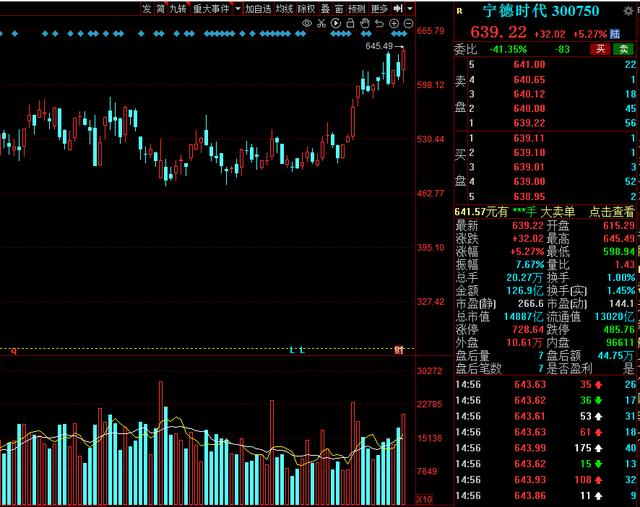 宁德时代与隆基股份为何大涨？