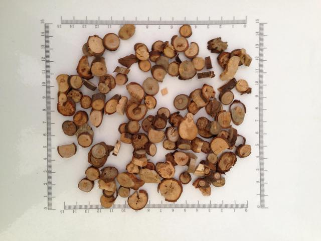 桂枝是桂花树上的枝条吗？看了就明白了