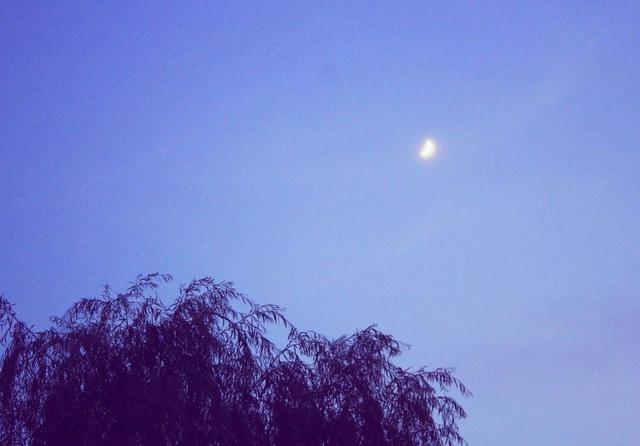 中秋节思乡的诗句有哪些（10首经典中秋古诗词）