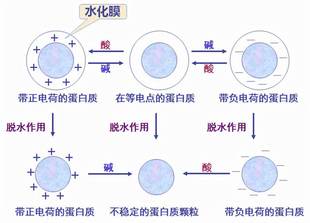 破碎机打出豆浆有没有渣渣