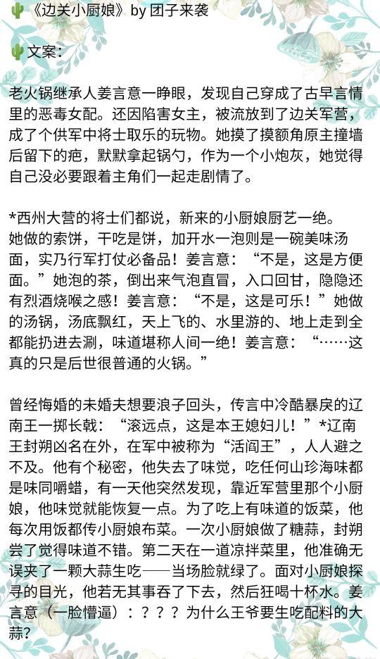 与边关小厨娘相似的古言小说「穿越小厨娘」