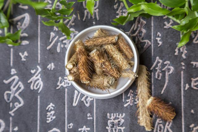 刺五加——一味可补脾、肺、肾、心的药食同源中药，不来了解下吗