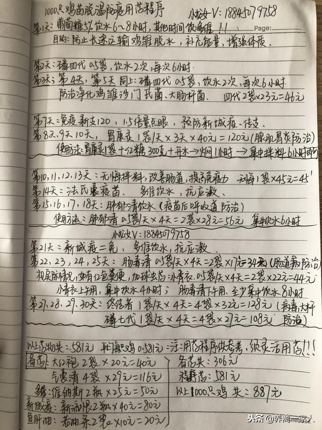 黄粉虫的养殖