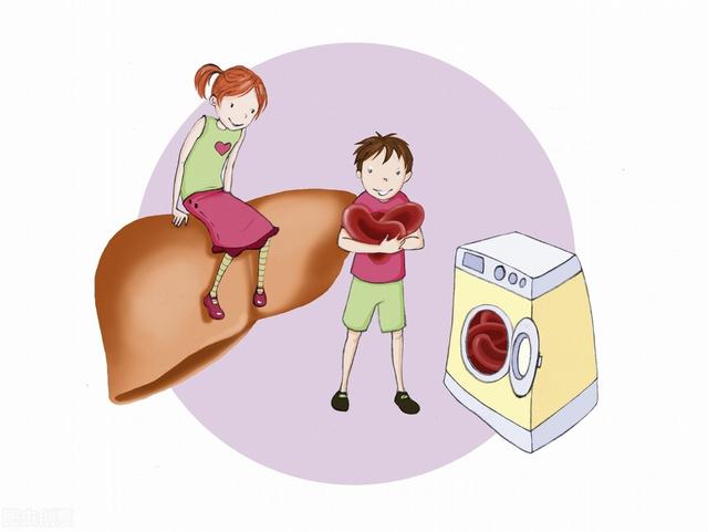 绿茶含有「伤肝」物质？不能喝？事实上，手里的茶杯不用放下