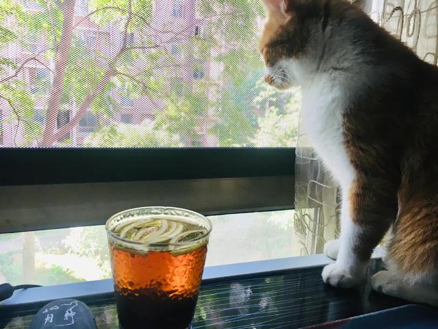 柚子皮别再当垃圾扔了，太可惜，浪费了这么好的宝贝