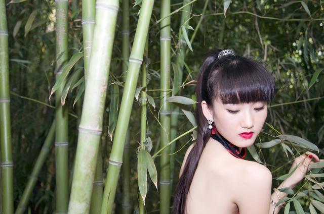 黄玫瑰 黄玫瑰