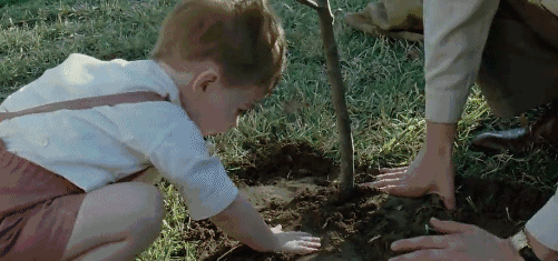 华为天才少年火了：从小被管和没被管的孩子，过的是两种人生