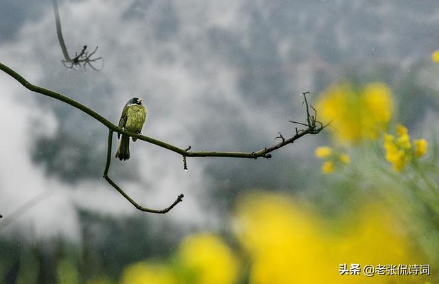 今天才知道，“一寸光阴一寸金”是一句唐诗，后面一句更值得铭记