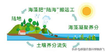 立式硅土过滤机