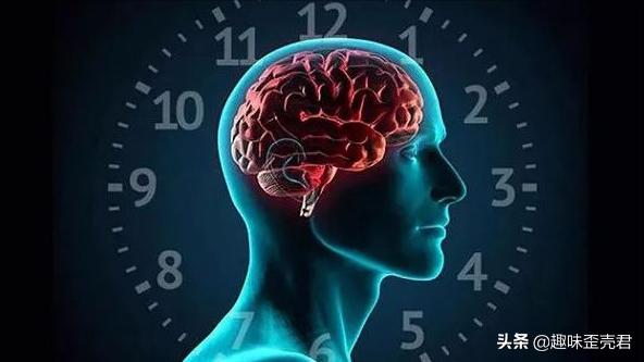 「生活百科」人类生物钟规律的作息指南，不自律的人建议收藏