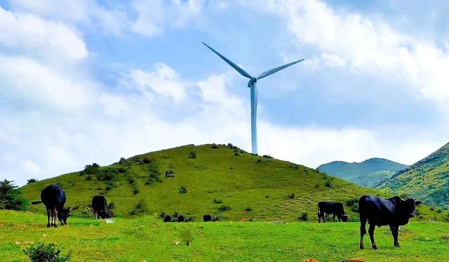 广东云浮罗定风车山仿如仙境藏在珠三角的隐秘风车山不到2小时的车程