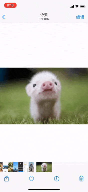 用了5年iPhone，才知道「相册」能这样玩