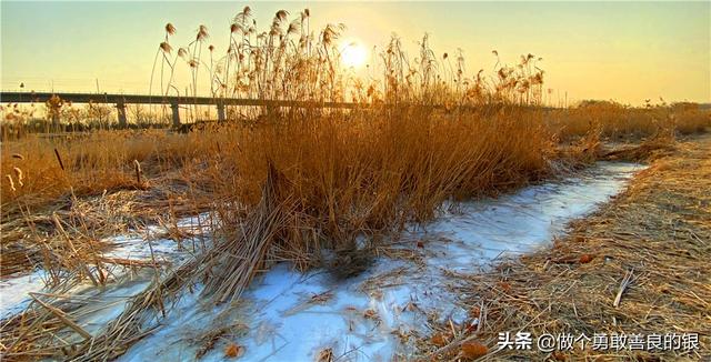 一米阳光图片